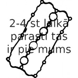 Прокладка, крышка головки цилиндра REINZ 71-36047-00