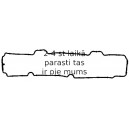 Прокладка, крышка головки цилиндра REINZ 71-35542-00