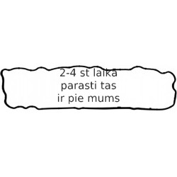 Прокладка, крышка головки цилиндра REINZ 71-35251-00