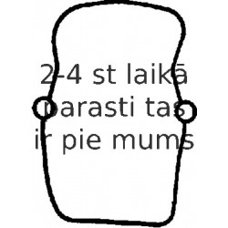 Прокладка, крышка головки цилиндра REINZ 71-33799-00