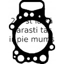 Прокладка, головка цилиндра REINZ 61-34885-00