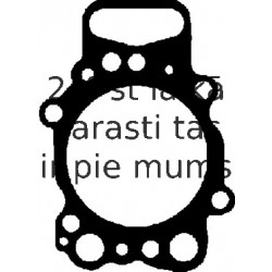 Прокладка, головка цилиндра REINZ 61-34885-00