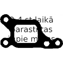 Blīve, Izplūdes kolektors REINZ 71-52904-00