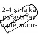 Прокладка, крышка головки цилиндра REINZ 71-52887-00