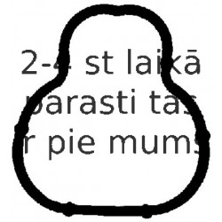 Blīve, Ieplūdes kolektors REINZ 71-34324-00