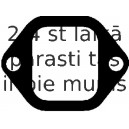 Blīve, Izplūdes kolektors REINZ 71-23079-00