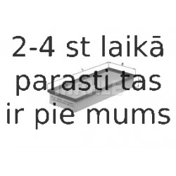 Воздушный фильтр MAHLE ORIGINAL LX 521