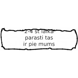 Прокладка, крышка головки цилиндра REINZ 71-36442-00