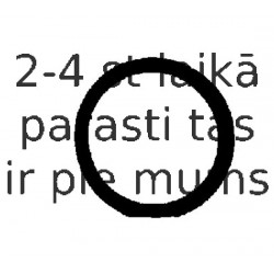 Blīve, Ieplūdes kolektora korpuss REINZ 71-36061-00