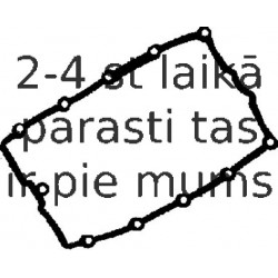 Прокладка, крышка головки цилиндра REINZ 71-36041-00