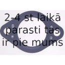 Blīve, Izplūdes kolektors REINZ 71-31348-00