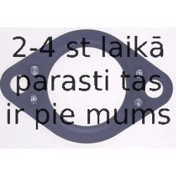 Blīve, Izplūdes kolektors REINZ 71-31348-00
