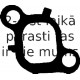 Blīve, Ieplūdes kolektors REINZ 71-36079-00