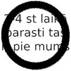 Blīve, Ieplūdes kolektors REINZ 40-76240-00