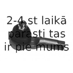 Stūres šķērsstiepņa uzgalis MOOG MD-ES-2281