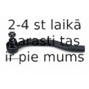 Stūres šķērsstiepņa uzgalis MOOG HO-ES-2606