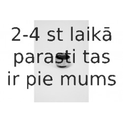 Подвеска, рычаг независимой подвески колеса MOOG FI-SB-3829