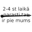 Stūres šķērsstiepņa uzgalis MOOG LR-ES-5019