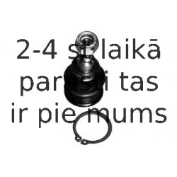 Balst-/Virzošais šarnīrs MOOG HO-BJ-4919