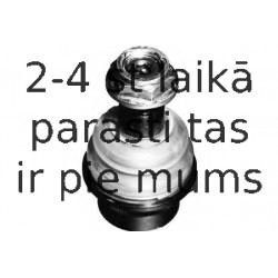 Balst-/Virzošais šarnīrs MOOG ME-BJ-6345