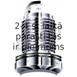 DENSO PT16VR13