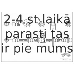 Bremžu šļūtene CORTECO 19032232