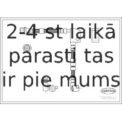 Bremžu šļūtene CORTECO 19032182