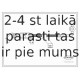 Bremžu šļūtene CORTECO 19032128