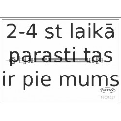 Bremžu šļūtene CORTECO 19031221