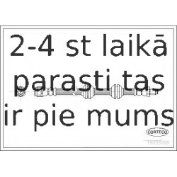 Bremžu šļūtene CORTECO 19035289