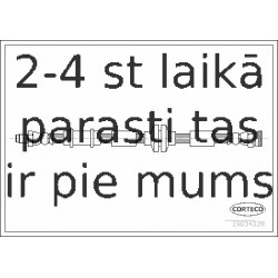 Bremžu šļūtene CORTECO 19034339