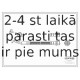 Bremžu šļūtene CORTECO 19032919