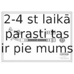 Bremžu šļūtene CORTECO 19032919