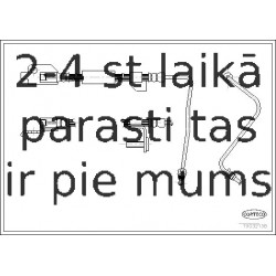 Bremžu šļūtene CORTECO 19032138