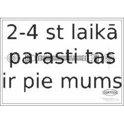 Bremžu šļūtene CORTECO 19026274