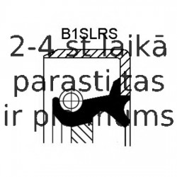 Vārpstas blīvgredzens, Diferenciālis CORTECO 19033965B