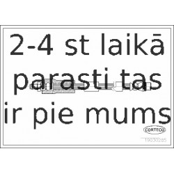 Bremžu šļūtene CORTECO 19030285