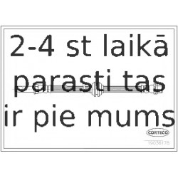 Bremžu šļūtene CORTECO 19036178