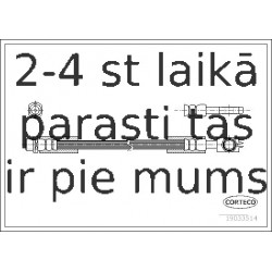 Bremžu šļūtene CORTECO 19033514