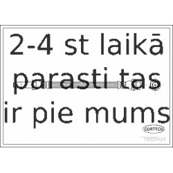 Bremžu šļūtene CORTECO 19026424