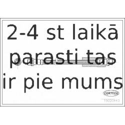 Bremžu šļūtene CORTECO 19020443