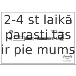 Bremžu šļūtene CORTECO 19032113
