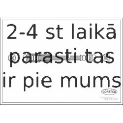 Bremžu šļūtene CORTECO 19030302