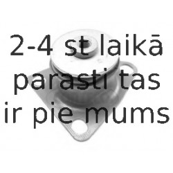 Piekare, Pārnesumkārbas turētājs CORTECO 80000240