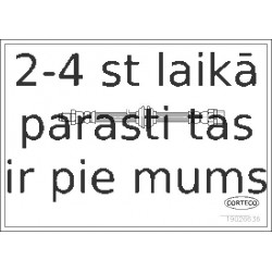 Bremžu šļūtene CORTECO 19026636