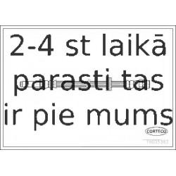 Bremžu šļūtene CORTECO 19035383