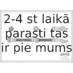 Bremžu šļūtene CORTECO 19032497