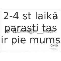 Bremžu šļūtene CORTECO 19035287