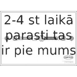 Bremžu šļūtene CORTECO 19034269