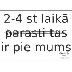Bremžu šļūtene CORTECO 19025905